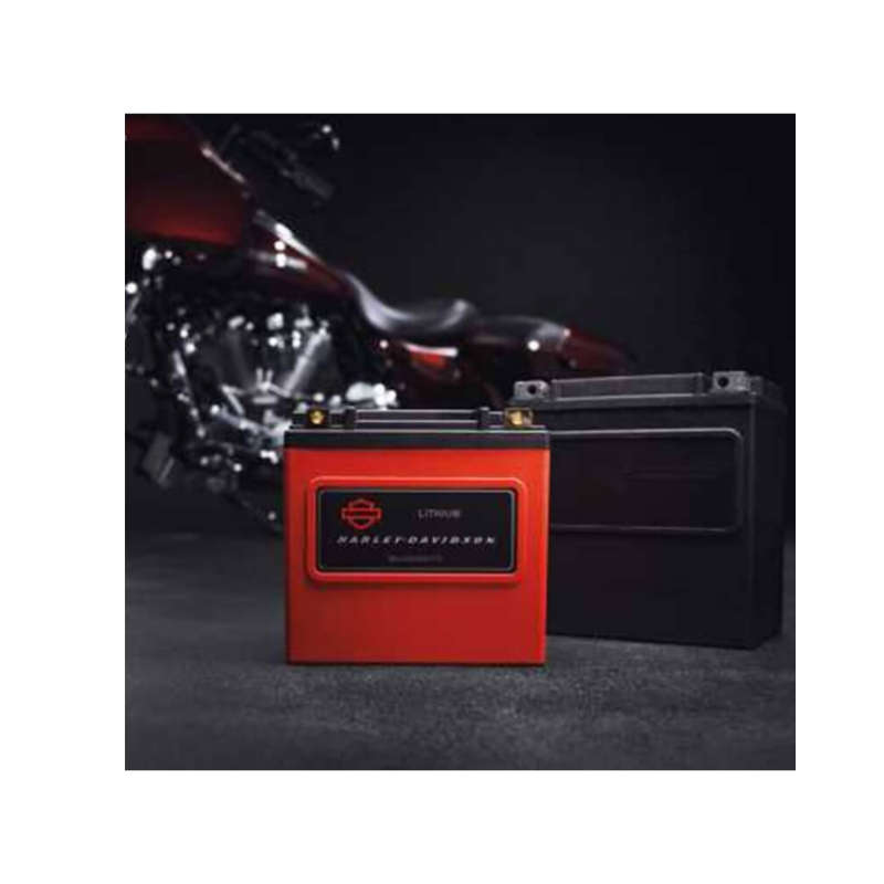 Lithium LiFe 8Ah Battery