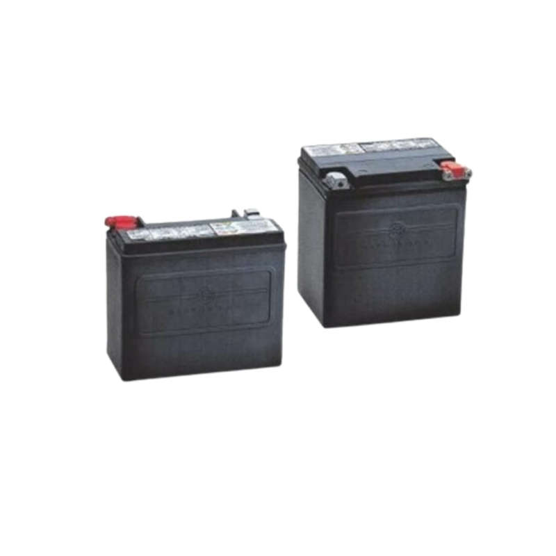 AGM Original Equipment Battery