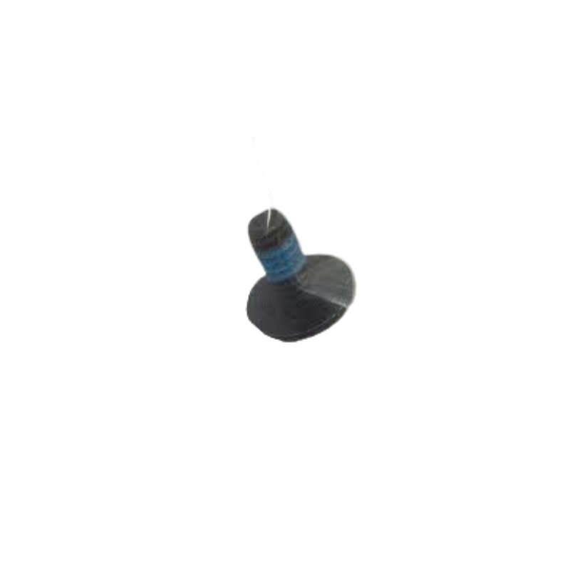 Torx Button Head Screw