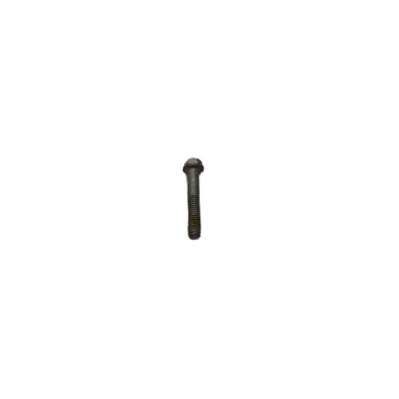 Screw: Flange Hex M6 X 35