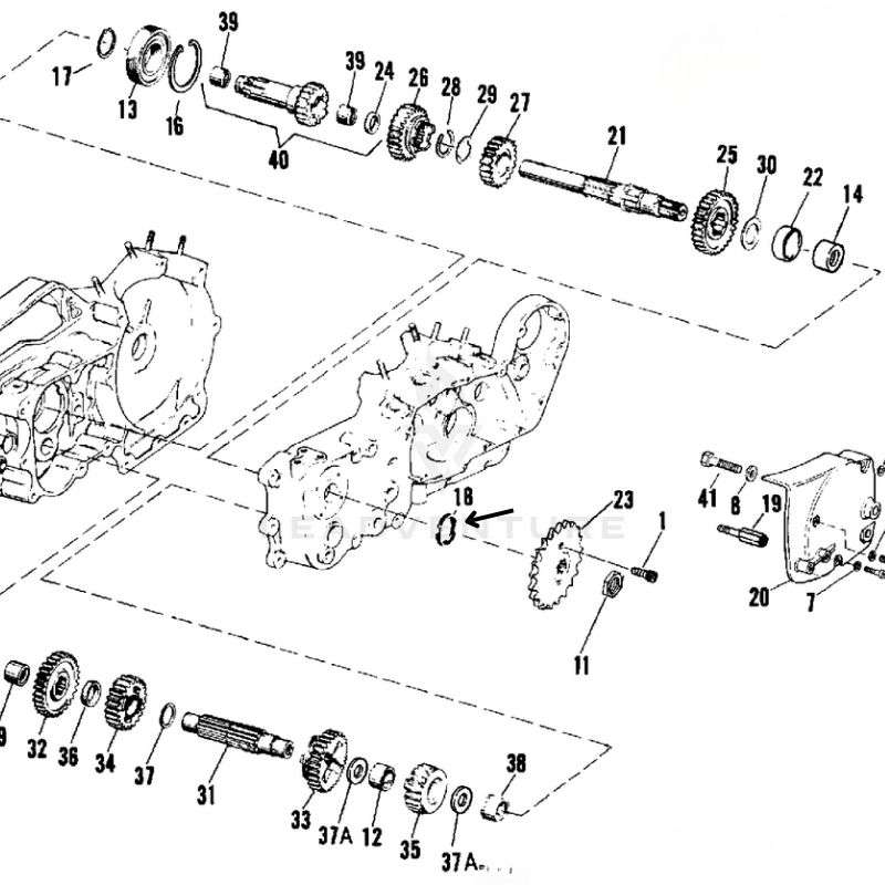 Oil Seal