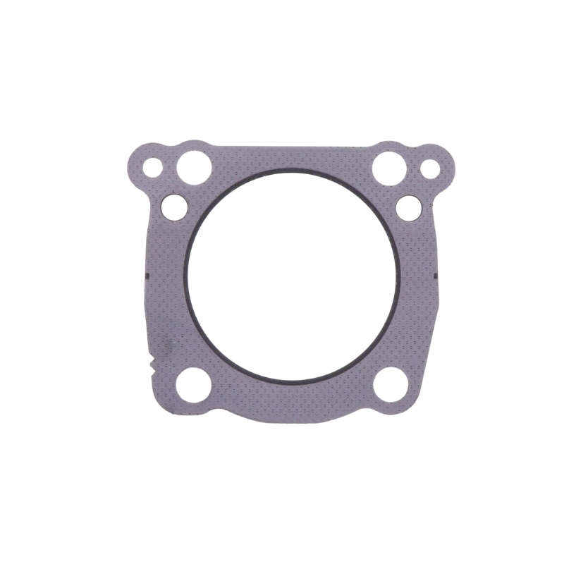 Cylinder Head Gasket
