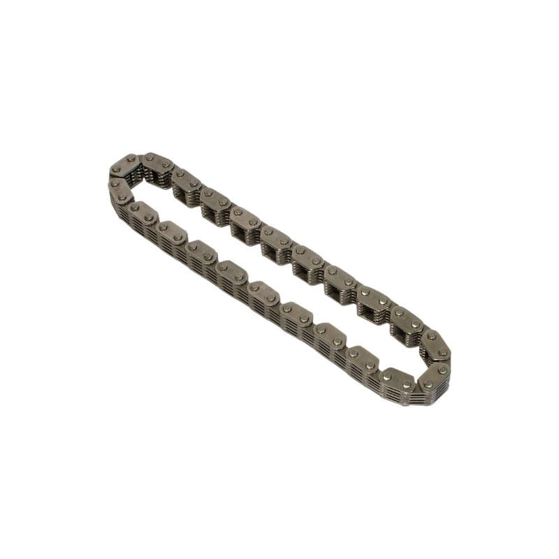 Primary Cam Drive Chain