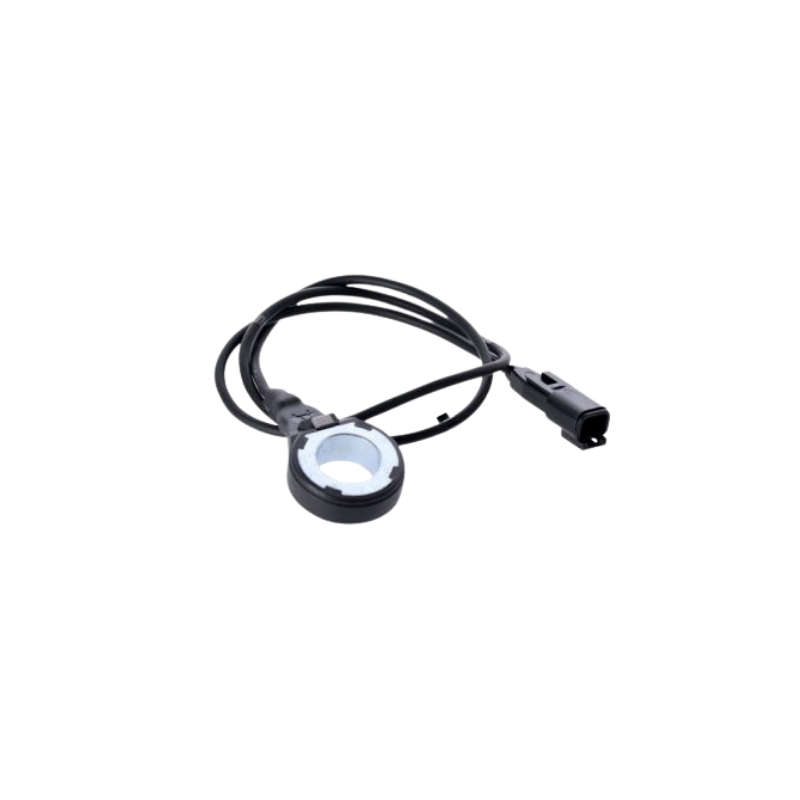 Abs Wheel Sensor Ring