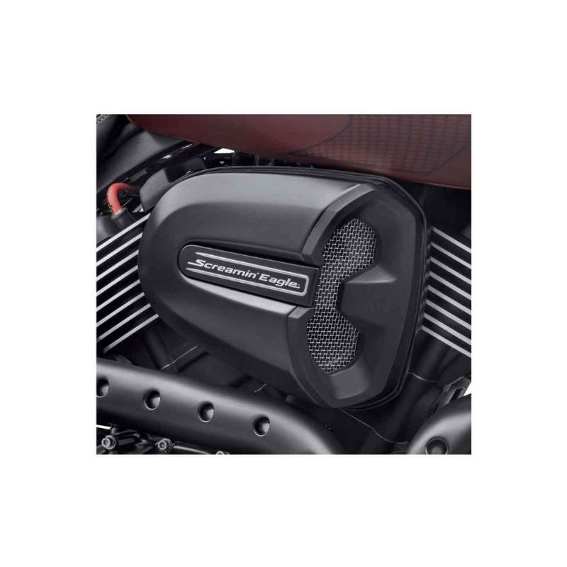 Screamin' Eagle Air Cleaner Insert