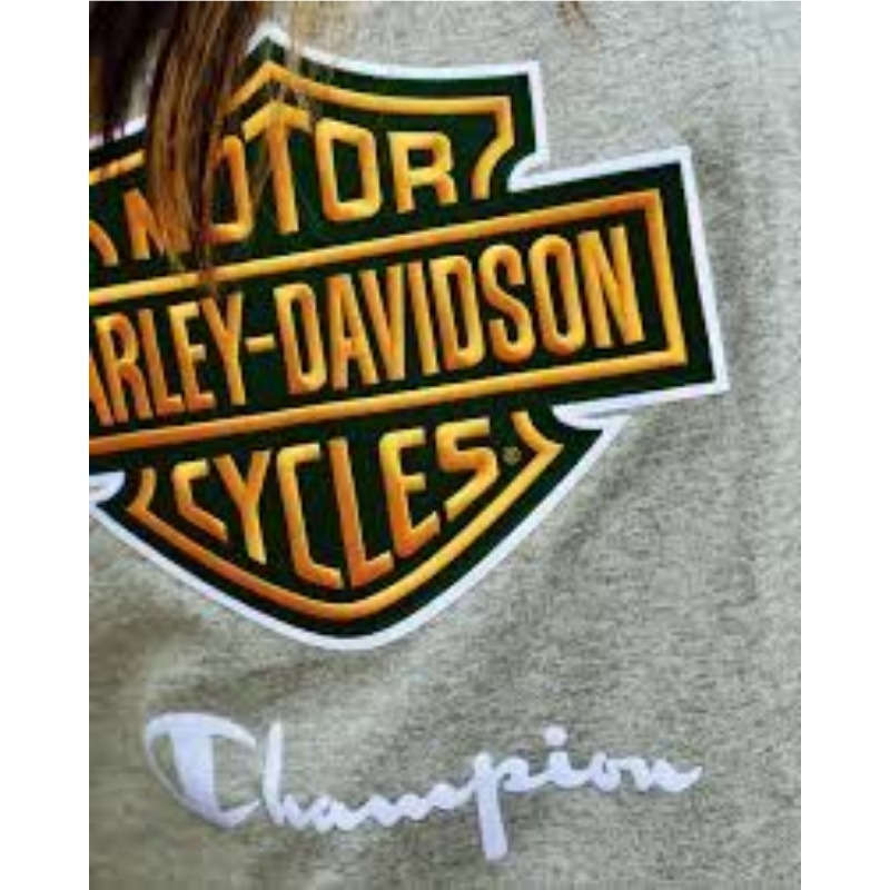 Champion Fanatic Tee - M