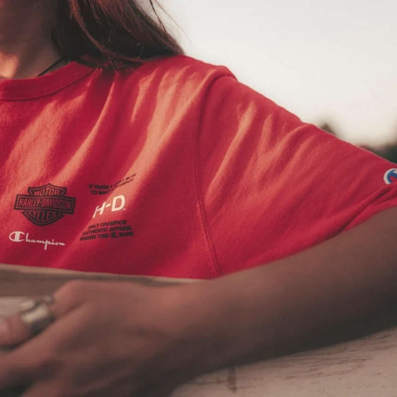 Champion Fanatic Tee - S