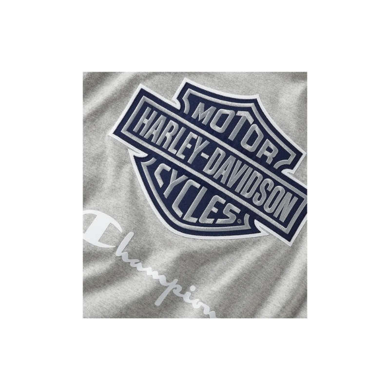 Champion Fanatic Tee - L