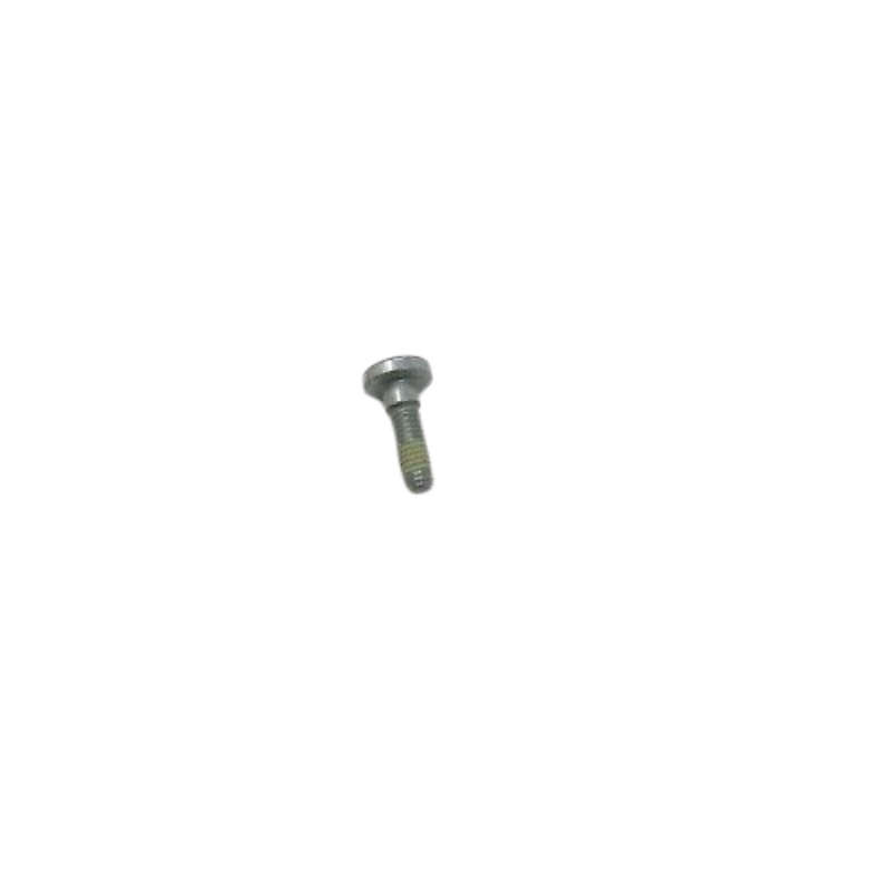 Front Brake Rotor Bolt
