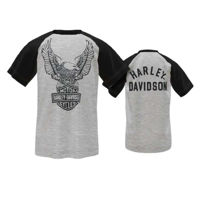 Colorblocked Raglan T-shirt - T2-3 Years