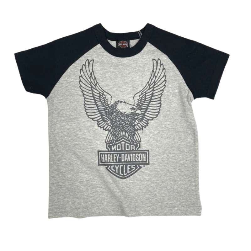 Colorblocked Raglan T-shirt - T2-3 Years