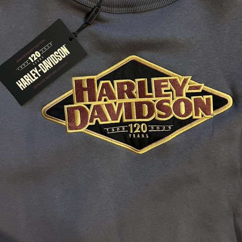 Men's 120th Anniversary Sweatshirt - 2XL