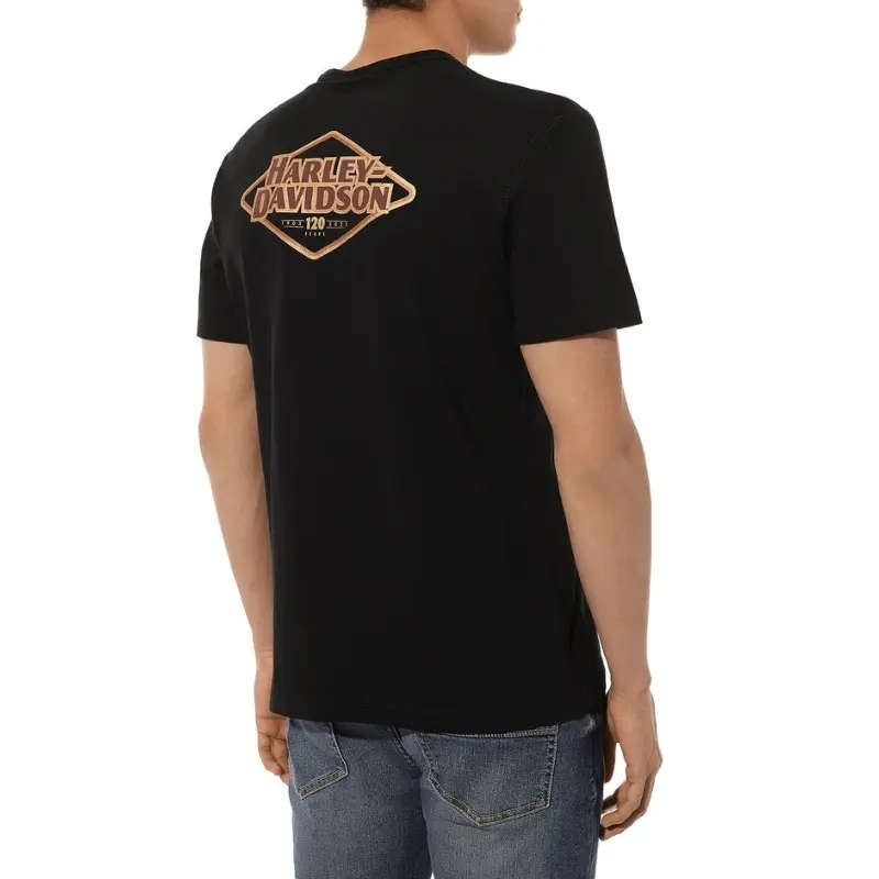 Mens 120th Anniversary Pocket Tee  Black Beauty - 2XL