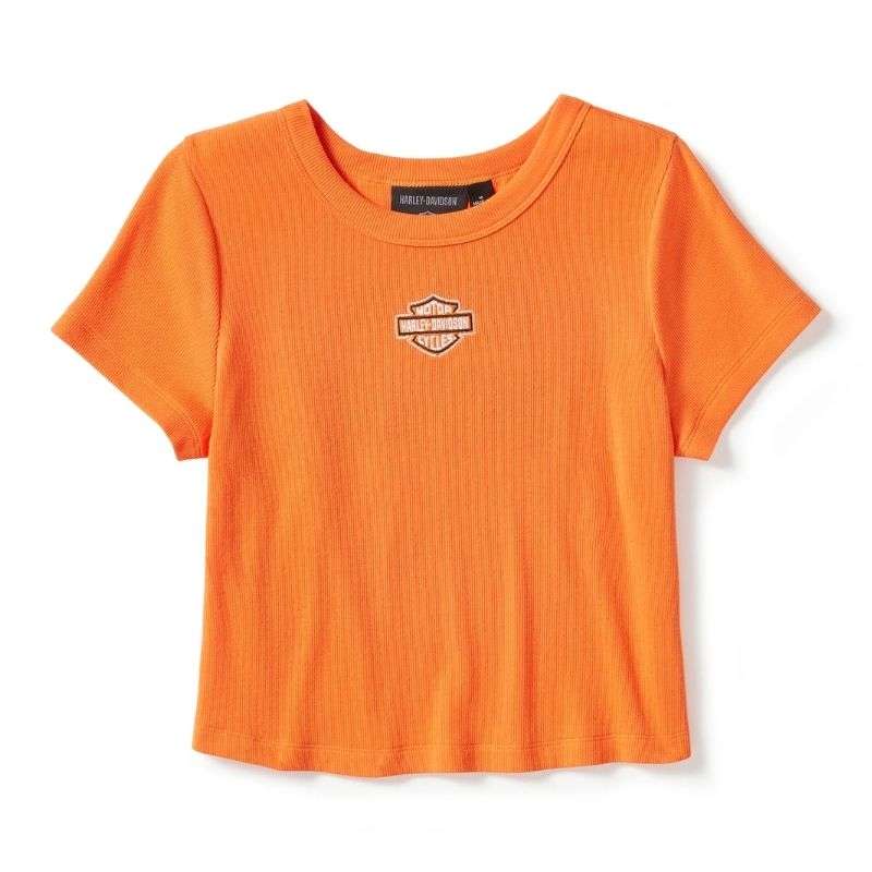 Essential Arched Font Babydoll Tee - L