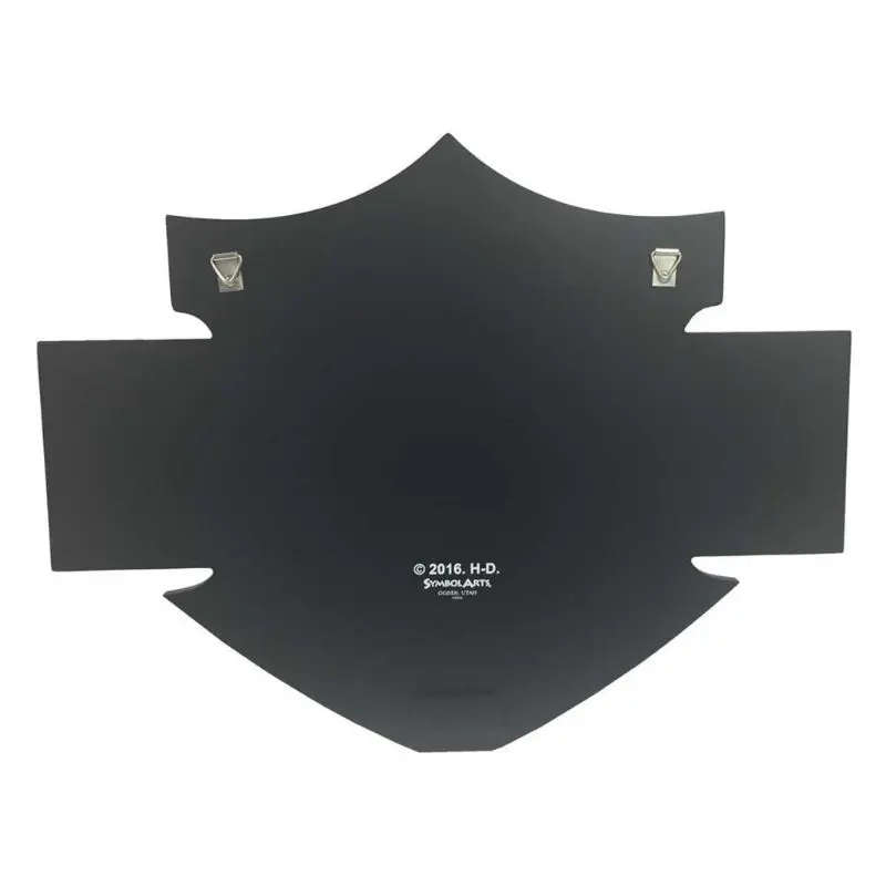 Bar & Shield Wall Coin Display, Holds 25 Coins