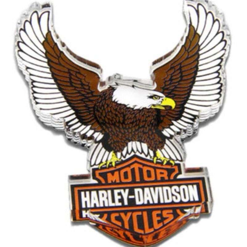 Cut-Out Eagle Freedom Machine Hard Acrylic Magnet