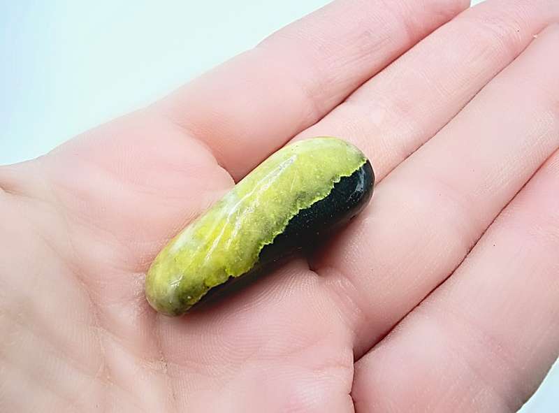 Bumble Bee Jasper  (13g)