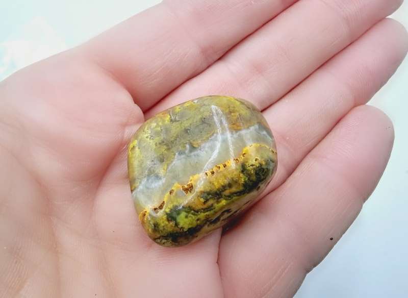 Bumble Bee Jasper Polished C (21.7g)