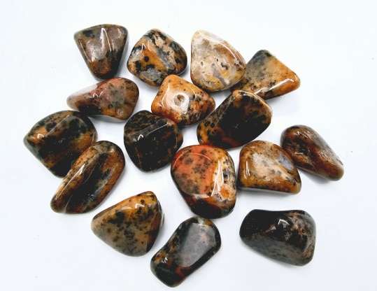 Cheetah Agate Tumbled Stones