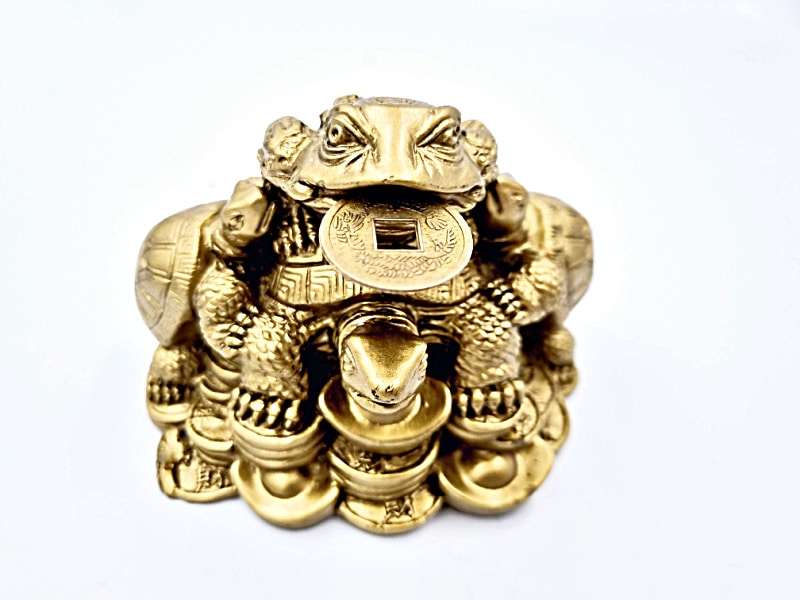 Gold Money Frog With Tortoises