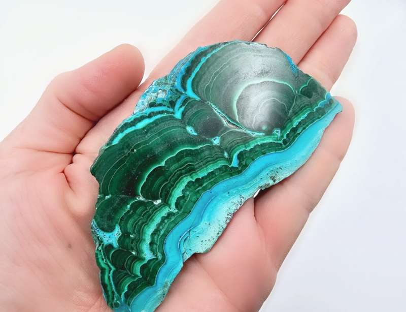 Malacolla Slice Polished (80g)