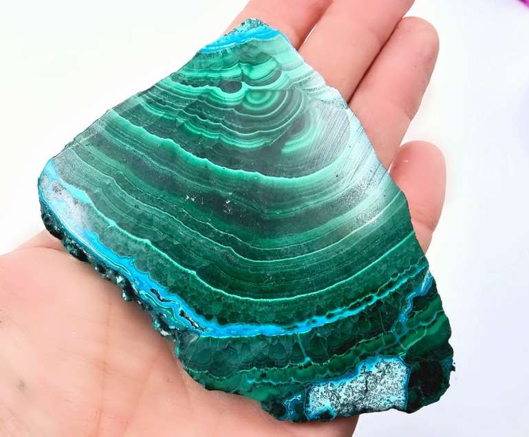 Malacolla Slice Polished (120g)