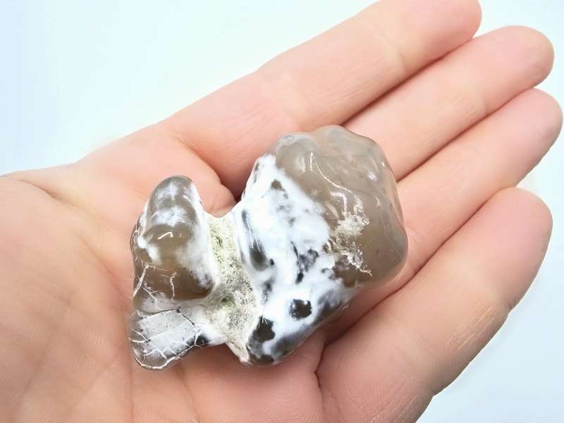 Snakeskin Agate A (46.3g)