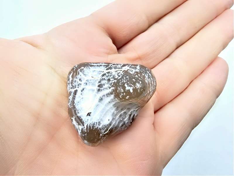 Snakeskin Agate C (26.1g)