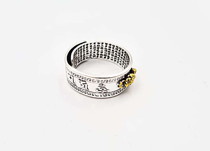 Pi Xiu Feng Shui Ring