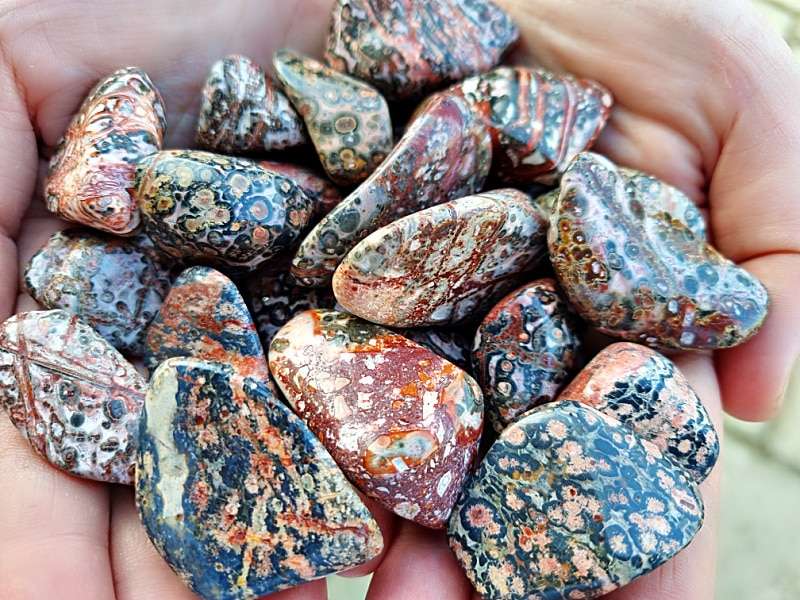 Leopard Skin Jasper Tumbled Stone