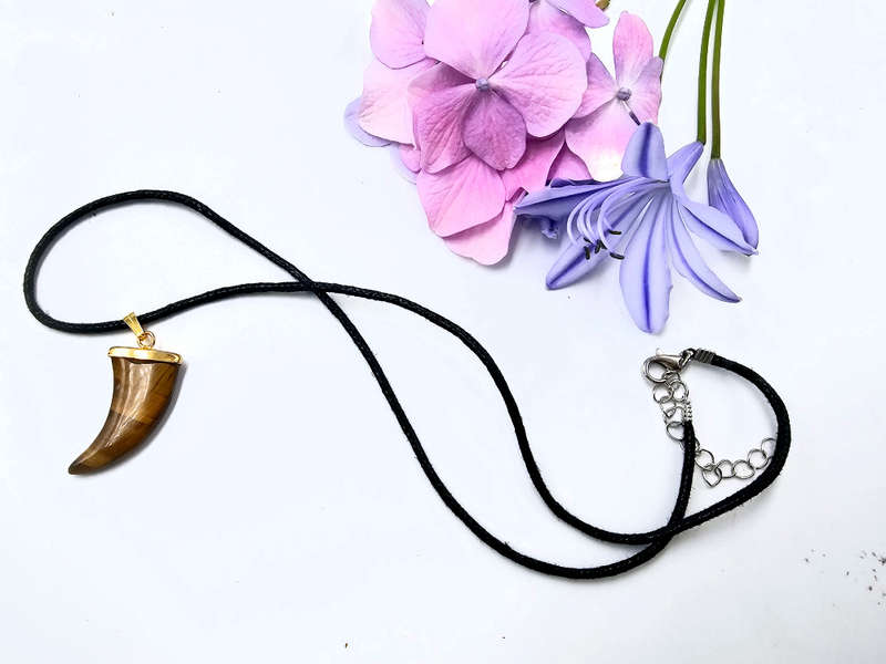 Tigers Eye Claw Necklace