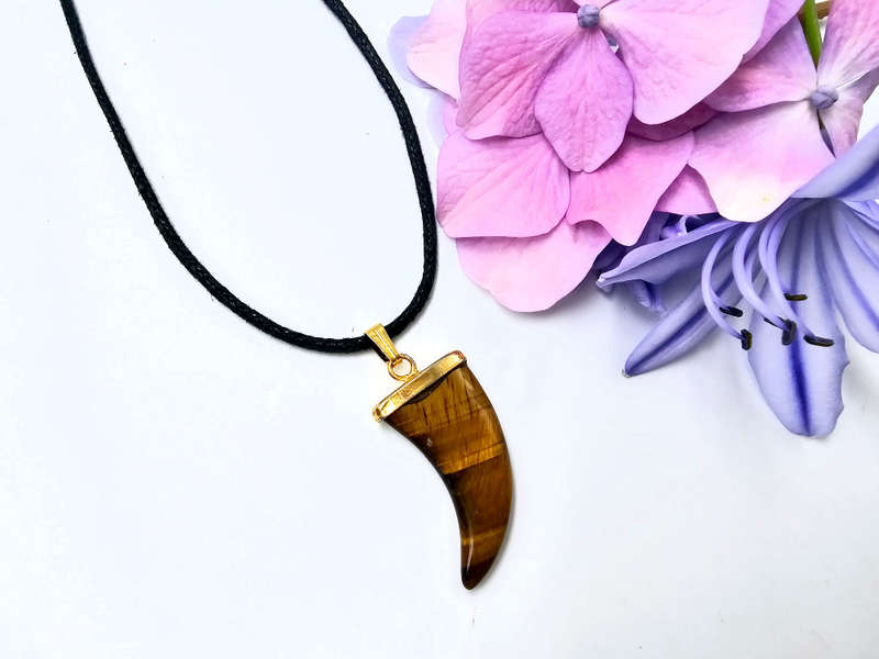 Tigers Eye Claw Necklace