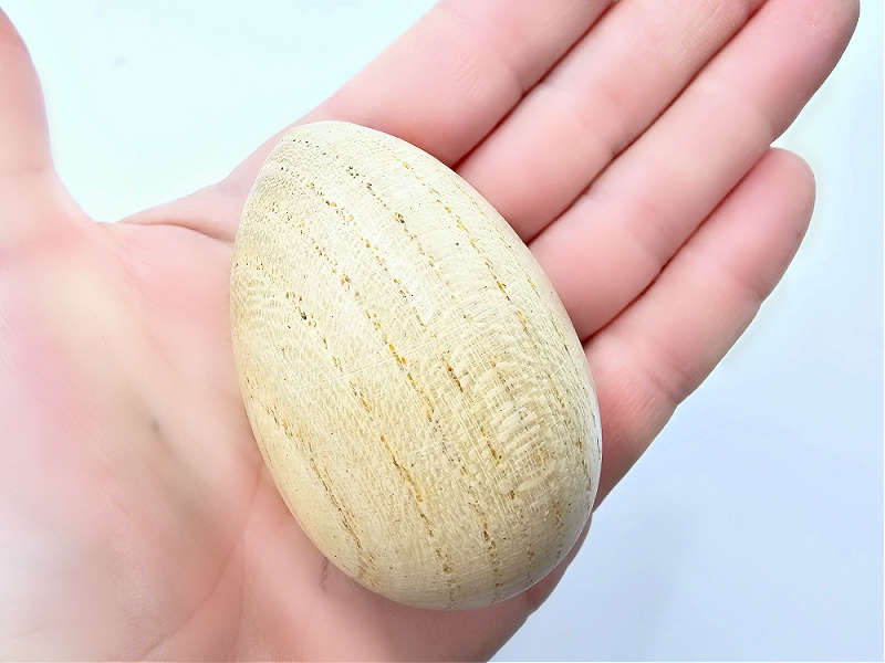 Shaker Egg Instrument (6cm)`