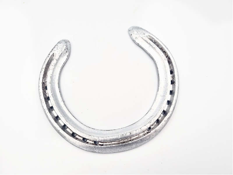 Good Luck Horse Shoe (Silver)