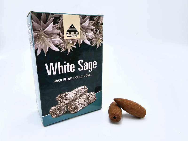 White Sage Backflow Incense Cones 10s