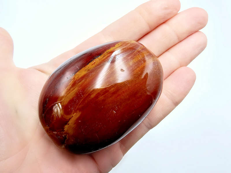 Petrified Wood Palm Stone B (195g)