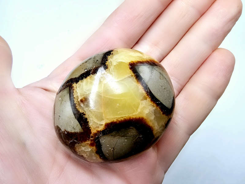 Septarian Polished Palm Stone D (116g)