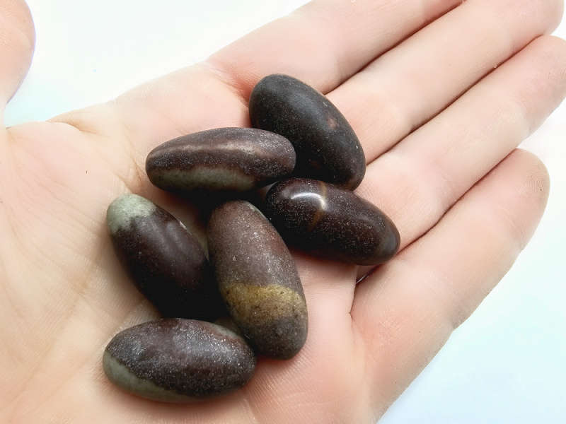 Shiva Lingam Stone (2-3cm)