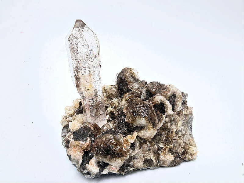 Smoky Quartz Cluster B (120g)