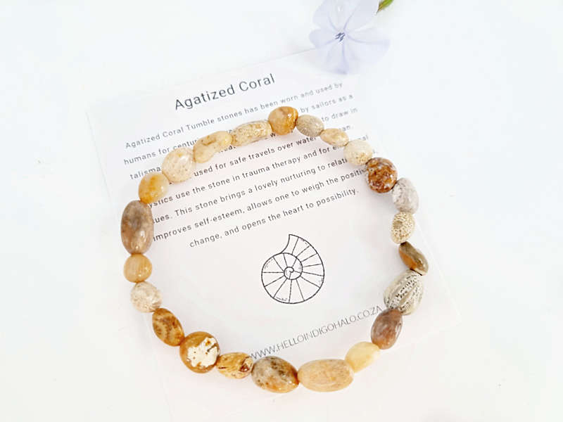 Agatized Coral Gemstone Nugget Bangle