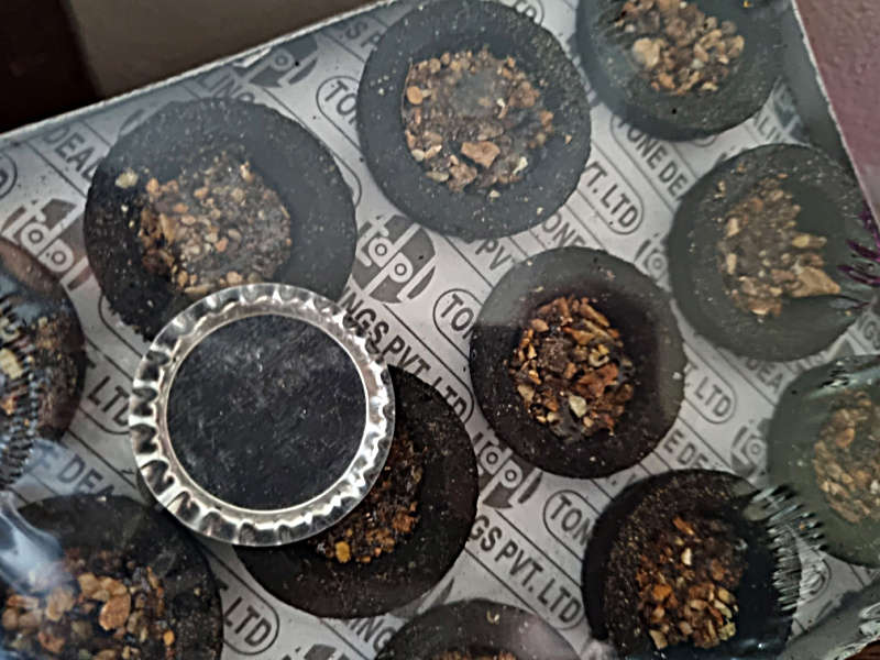 Srimathi Sambrani Cups (12)