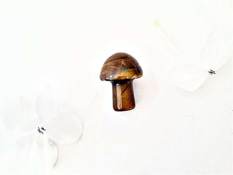 Mini Tigers Eye Mushroom (2cm)