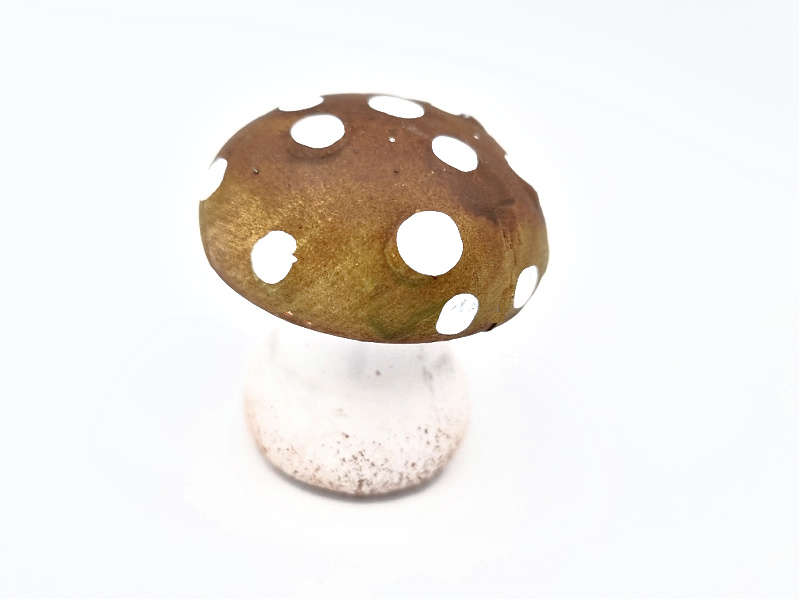Brown &amp; Green Mushroom