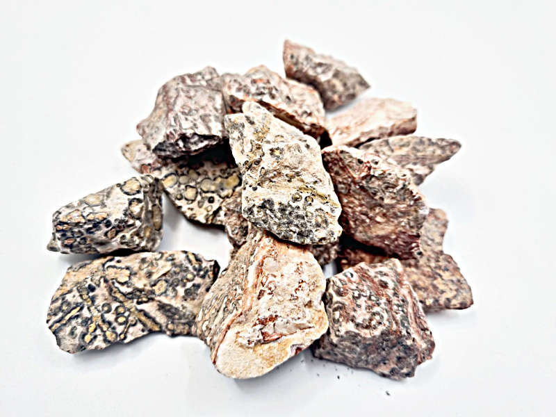 Leopard Skin Jasper Rough Pieces