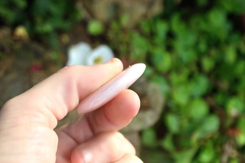 Rose Quartz Worry Stone