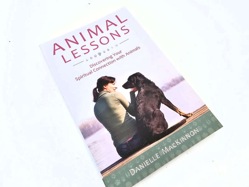 Animal Lessons (Danielle MacKinnon)