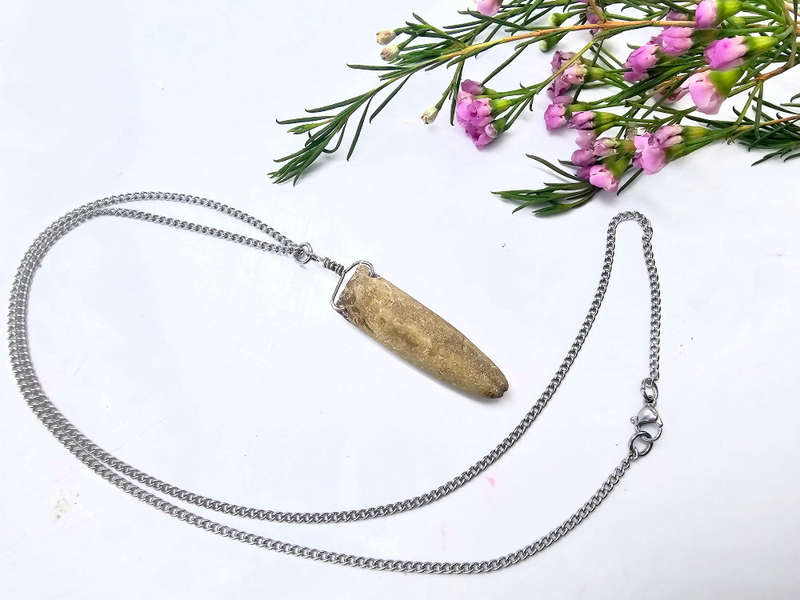 Belemnite Bullet Fossil Necklace