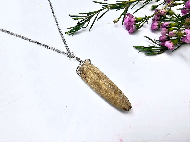 Belemnite Bullet Fossil Necklace