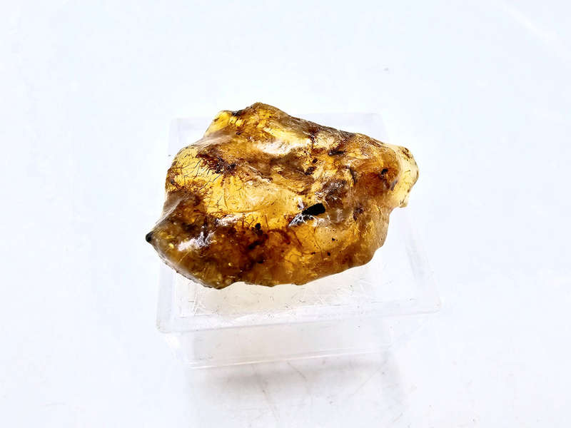 Natural Honey Amber Specimen E (RARE) 1.7g