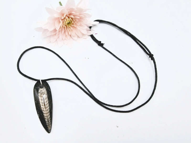 Orthoceros Fossil Necklace